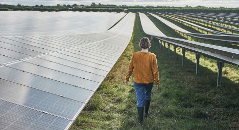 Woman walking through field of solar panels