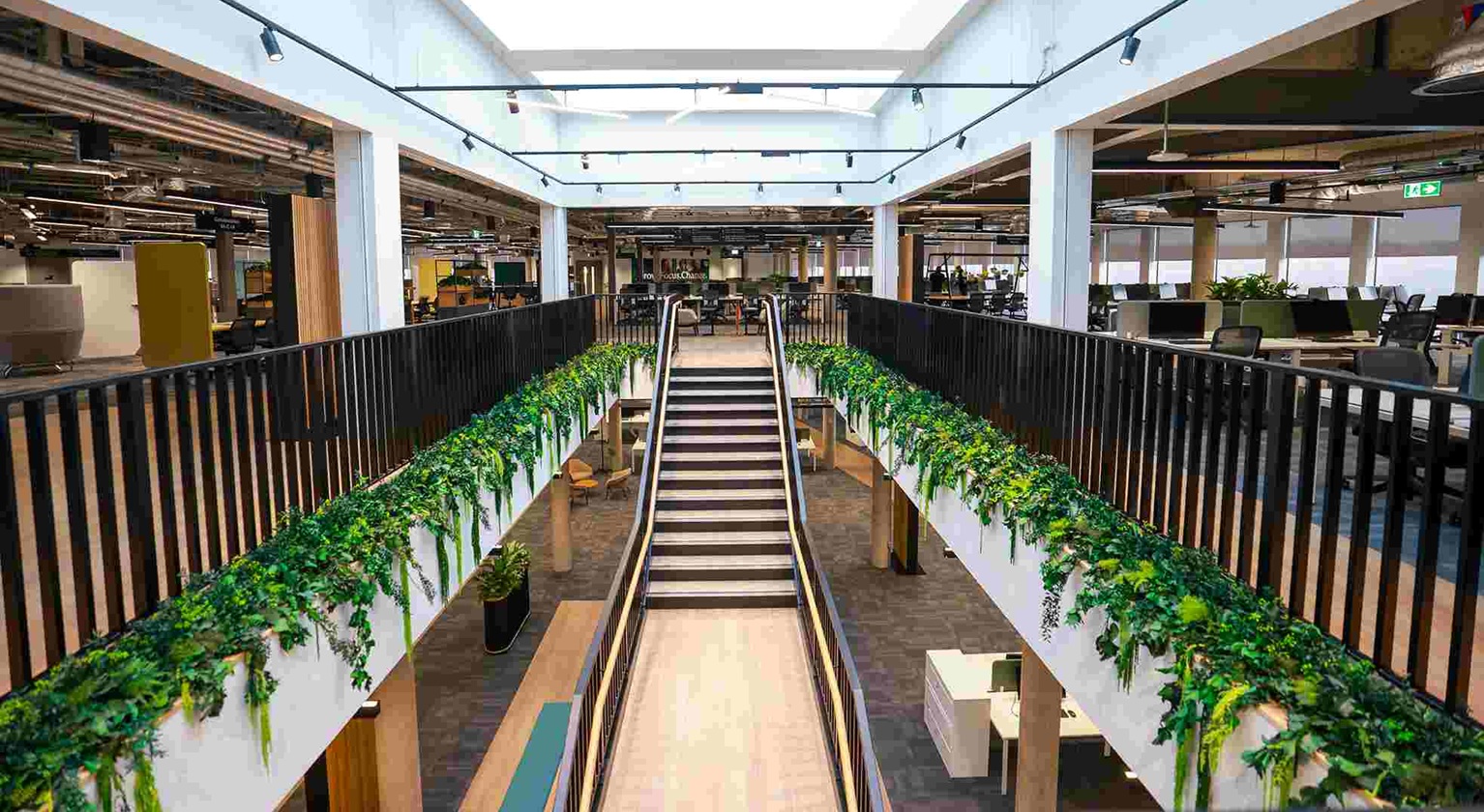 Image of stairs with greenery 