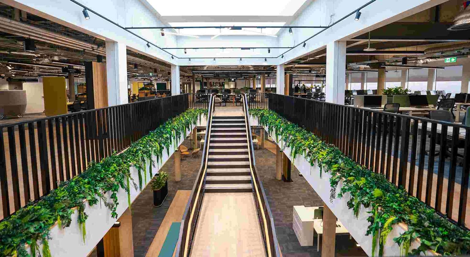 Image of stairs with greenery 