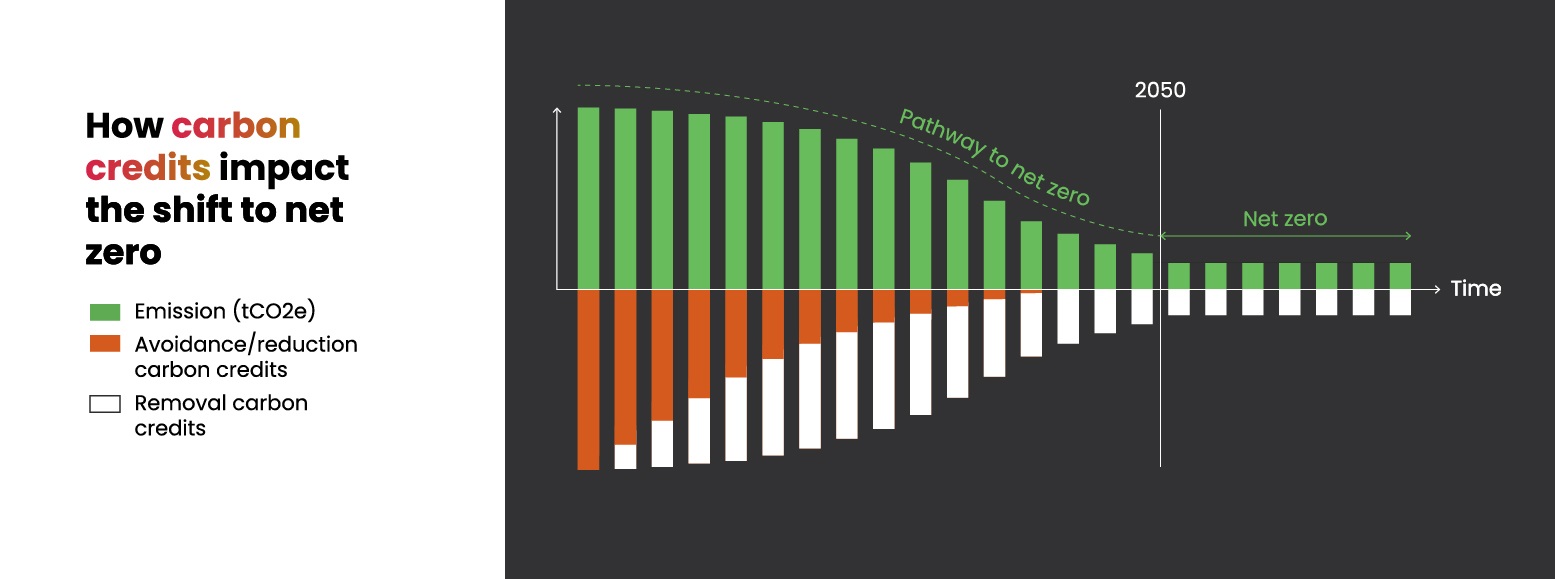 Graph showing how carbon credits impact net zero emissions.