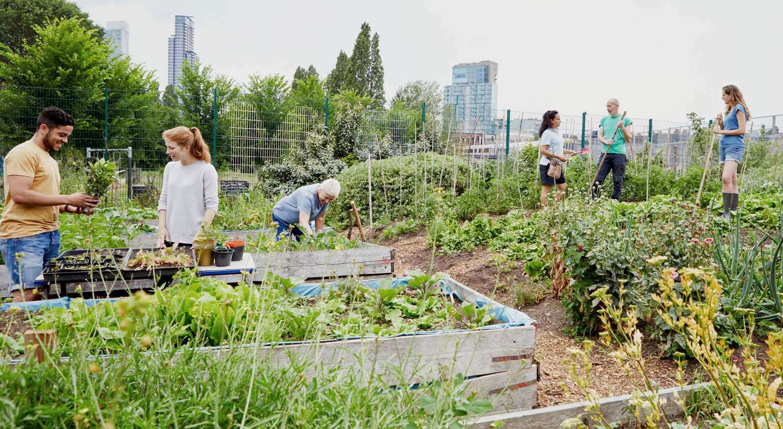 Planting trees