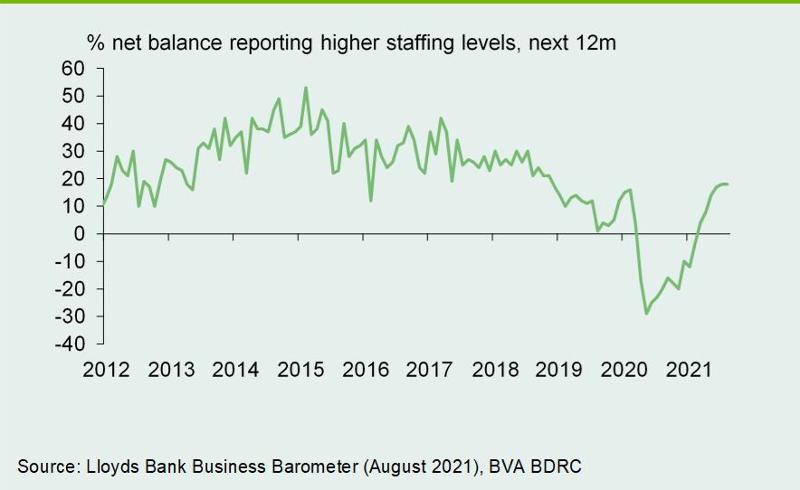 Chart 2: Employment intentions unchanged but remain positive