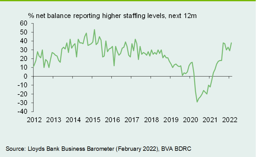 Chart 2: Majority of firms expect to hire