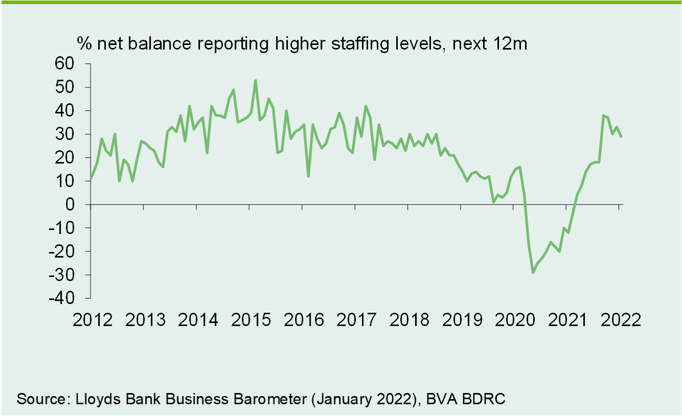 Chart 2: Employment expectations edge lower from recent highs