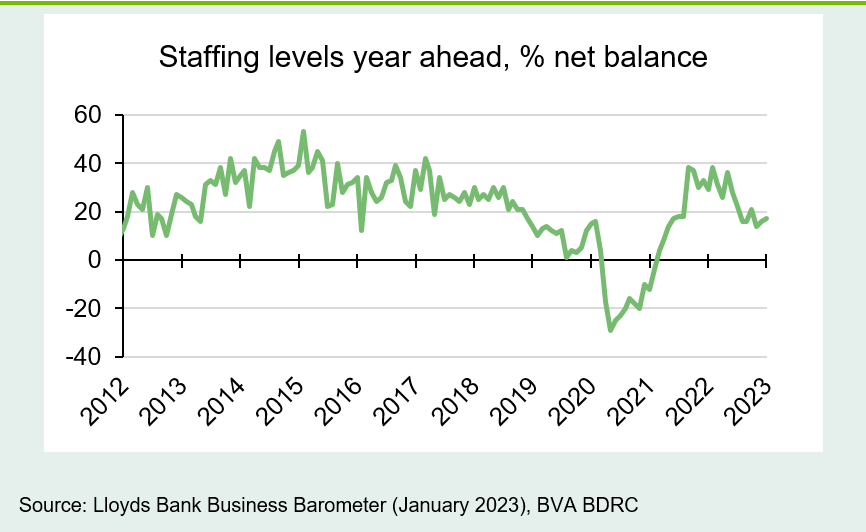 Chart 3: Labour demand moderating