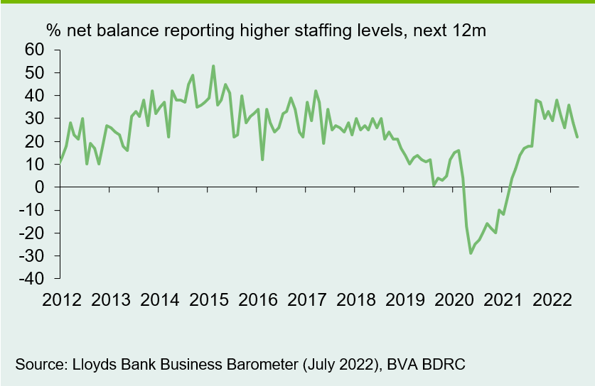Chart 2: Employment expectations moderate further
