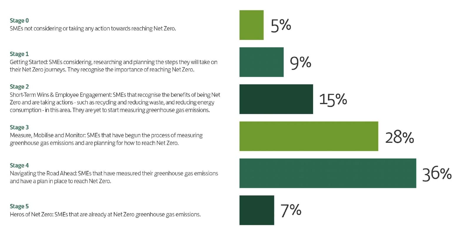 Graph showing where British SMEs are on their net zero journeys. 