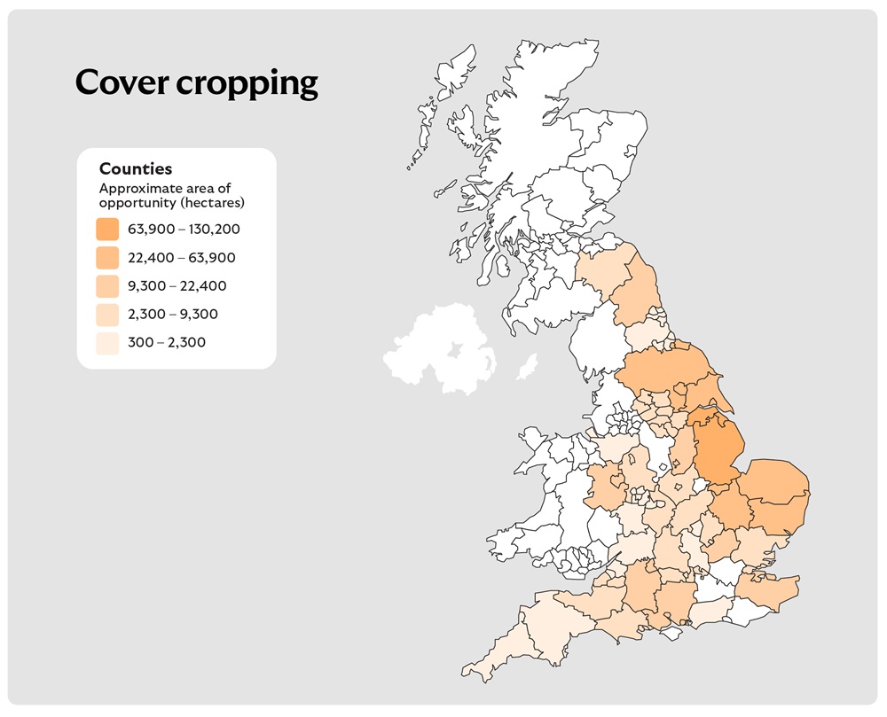 A map of the United Kingdom titled "Cover cropping", showing counties shaded in five shades of orange to represent approximate areas of opportunity for cover cropping in hectares. The legend on the left categorises the ranges as follows:

Lightest orange: 300 – 2,300 ha
Second lightest orange: 2,300 – 9,300 ha
Middle orange: 9,300 – 22,400 ha
Second darkest orange: 22,400 – 63,900 ha
Darkest orange: 63,900 – 130,200 ha

The map visually indicates which counties have the greatest potential for implementing cover cropping practices based on these hectare ranges.
