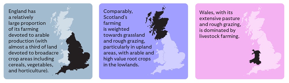 A three-panel infographic comparing farming practices across England, Scotland, and Wales, each with a coloured background and a UK map highlighting the relevant region in black.

The first panel, with a light blue background, highlights England and includes the text: "England has a relatively large proportion of its farming devoted to arable production (with almost a third of land devoted to broadacre crop areas including cereals, vegetables, and horticulture)."
The second panel, with a purple background, highlights Scotland and includes the text: "Comparably, Scotland's farming is weighted towards grassland and rough grazing, particularly in upland areas, with arable and high value root crops in the lowlands."
The third panel, with a pink background, highlights Wales and includes the text: "Wales, with its extensive pasture and rough grazing, is dominated by livestock farming."
