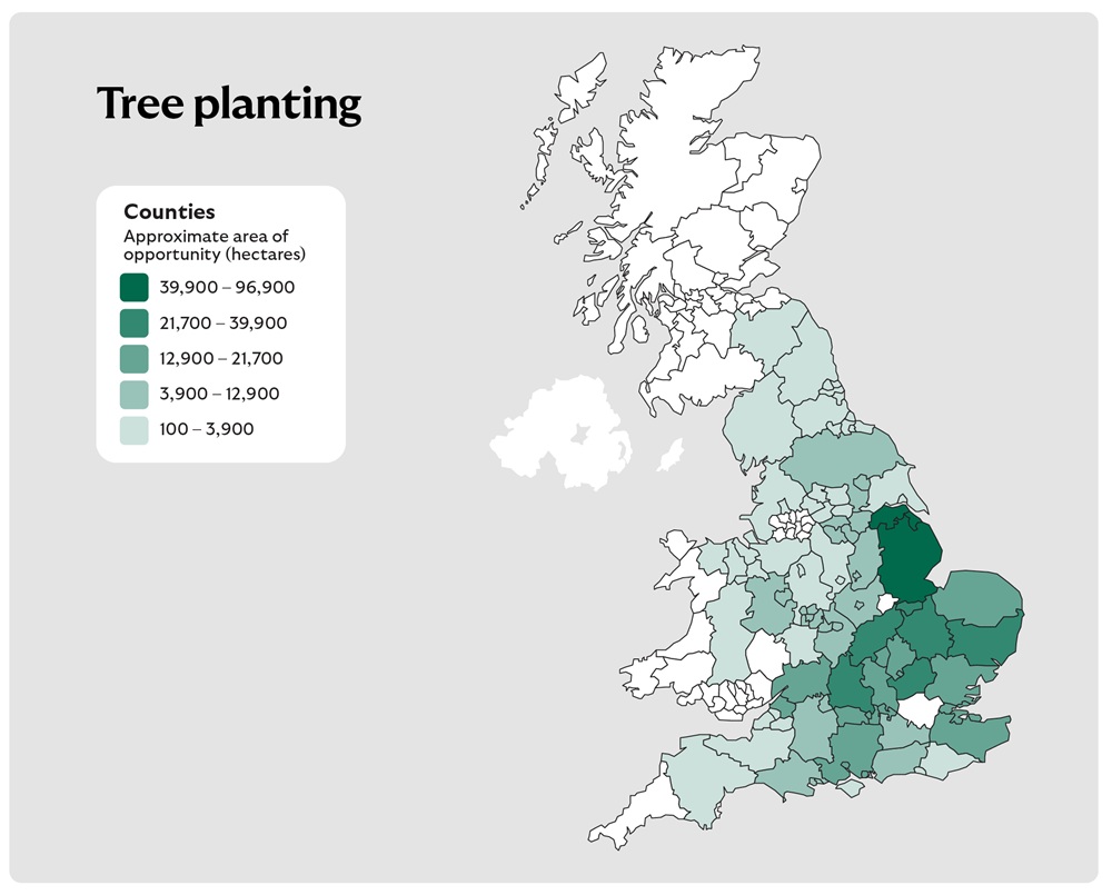 A map of the United Kingdom titled "Tree planting", displaying counties shaded in five shades of green to represent approximate areas of opportunity for tree planting in hectares. The legend on the left defines the ranges as follows:

Very light green: 100 – 3,900 ha
Light green: 3,900 – 12,900 ha
Medium green: 12,900 – 21,700 ha
Medium dark green: 21,700 – 39,900 ha
Dark green: 39,900 – 96,900 ha

The map visually identifies regions with varying potential for tree planting based on these hectare categories.