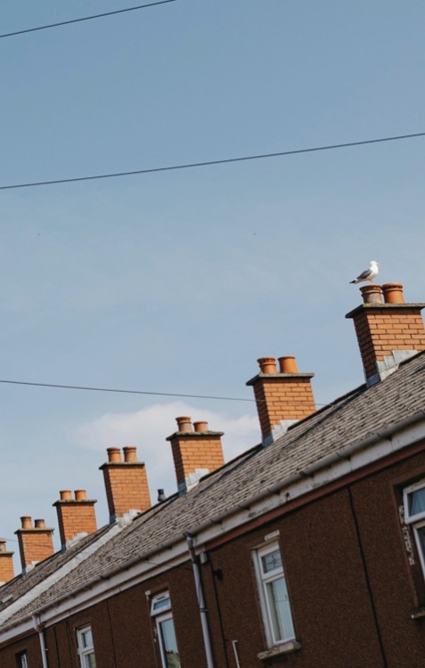 Image of houses with link to facts