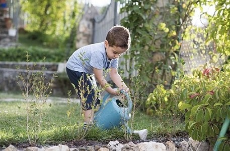 Young child watering plants in a garden.